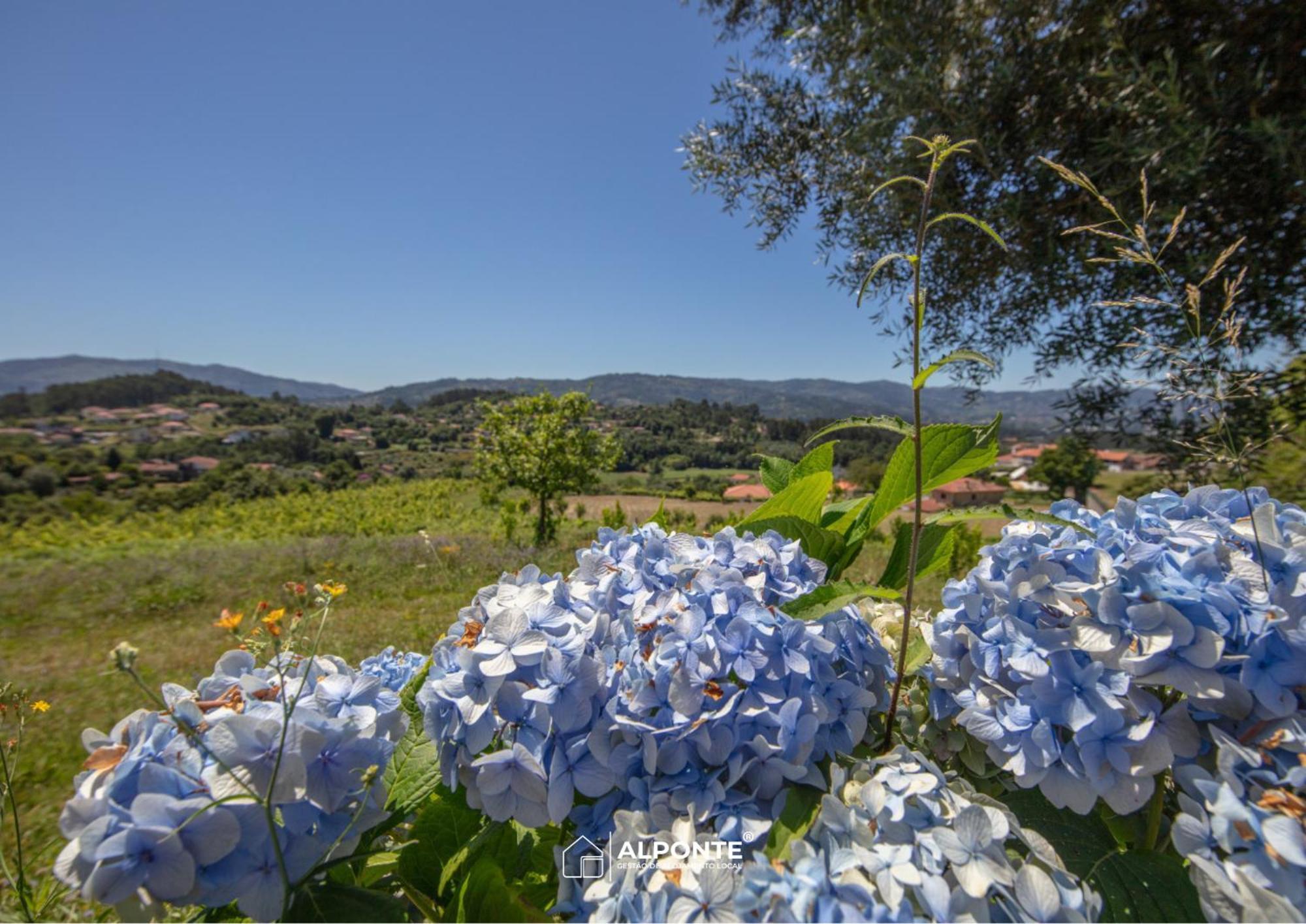 Вилла Quinta Da Costeira - Casa Azul Do Limoal By Alponte Аркуш-ди-Валдевеш Экстерьер фото