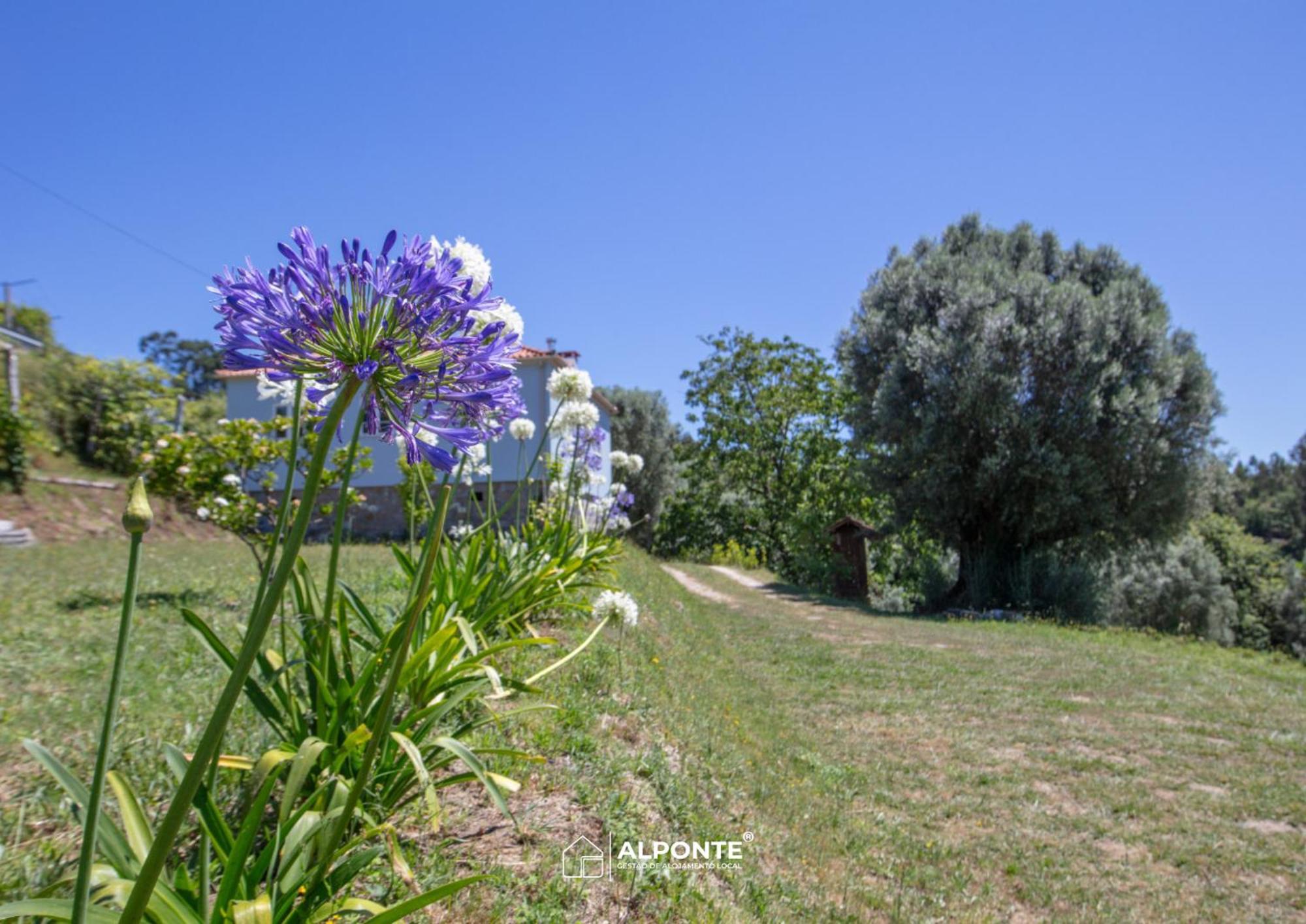 Вилла Quinta Da Costeira - Casa Azul Do Limoal By Alponte Аркуш-ди-Валдевеш Экстерьер фото