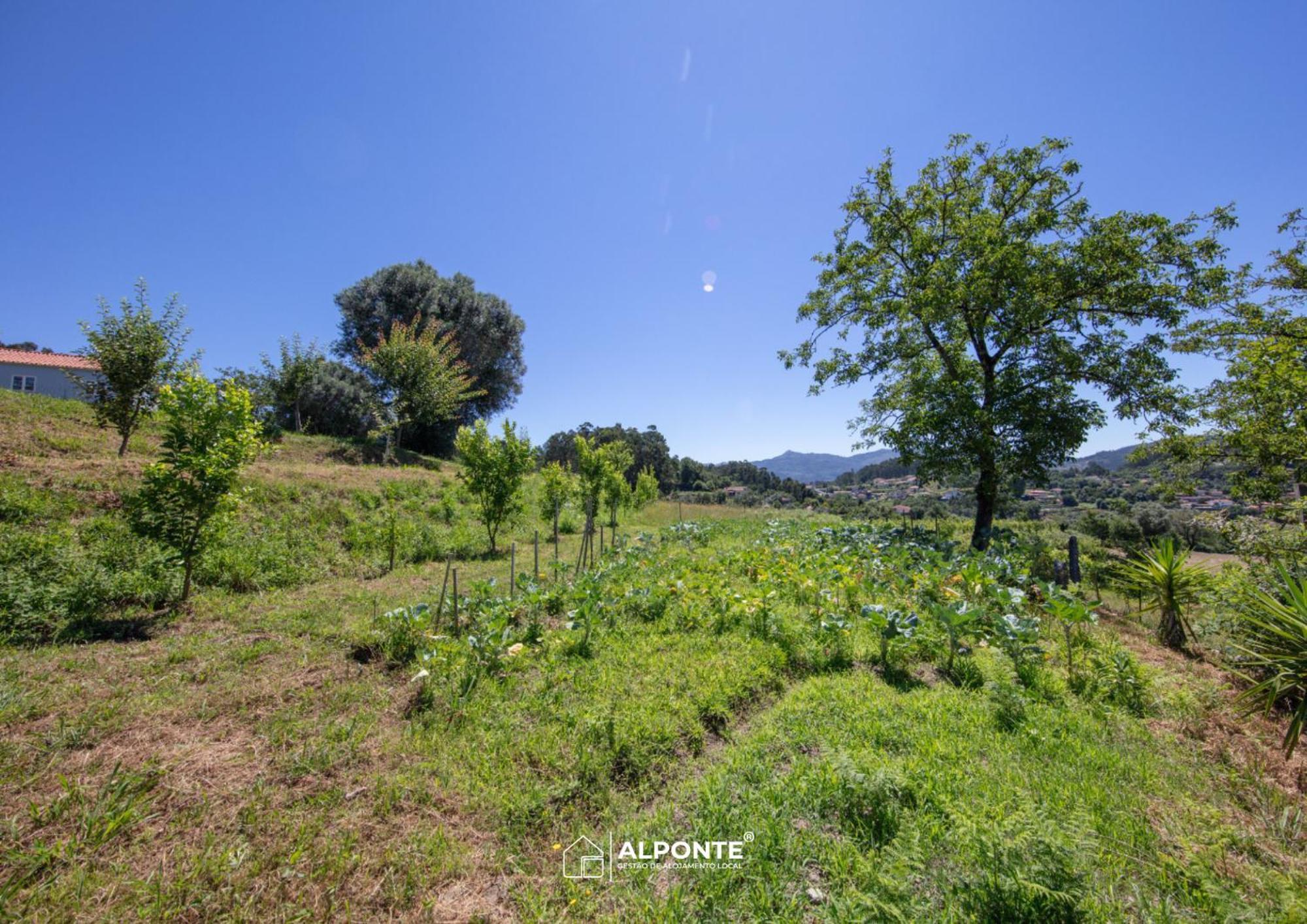 Вилла Quinta Da Costeira - Casa Azul Do Limoal By Alponte Аркуш-ди-Валдевеш Экстерьер фото