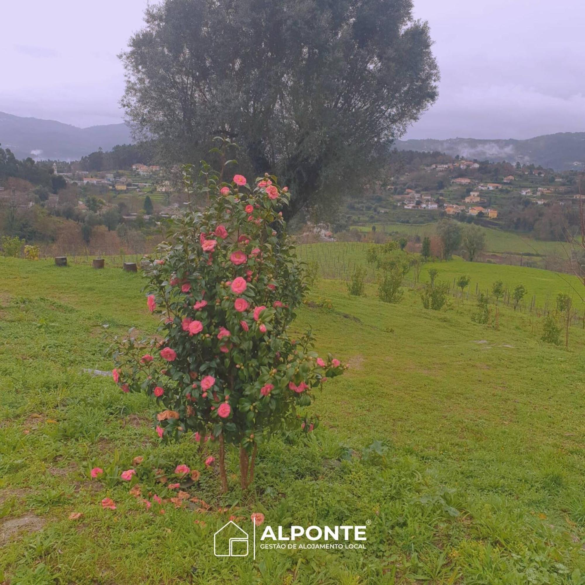 Вилла Quinta Da Costeira - Casa Azul Do Limoal By Alponte Аркуш-ди-Валдевеш Экстерьер фото